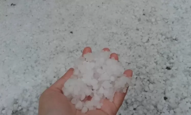 PHOTO: Heavy Hail Levels Farmers' Work to the Ground