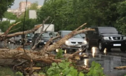 Լեոյի փողոցում ծառի ճյուղը կոտրվել է ու խոչընդոտում է երթևեկությանը