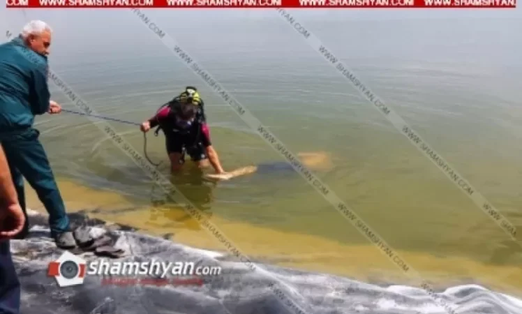 Արմավիրի մարզում արհեստական լճից դուրս են բերել 18-ամյա երիտասարդի դի