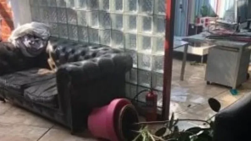 Մոսկվայում ներխուժել են Մարինա Գևորգյանին պատկանող «Սնոբ» պարբերականի խմբագրություն. Վնաս է հասցվել