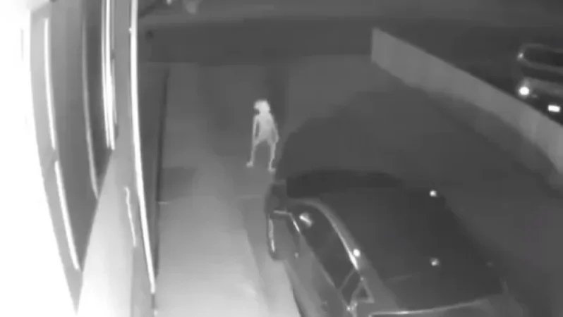 VIDEO: Alien Being Spotted in the USA