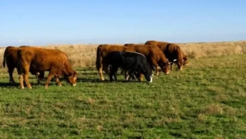 «Ժողովուրդ». Կամաց-կամաց գյուղացին դուրս է մղվում գյուղատնտեսությունից