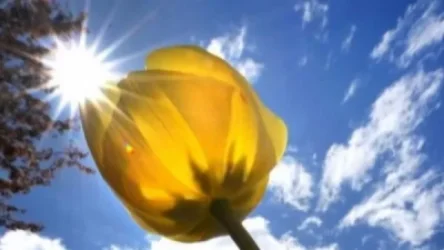 Ինչ եղանակ է սպասվում Հայաստանում վաղը և առաջիկա օրերին