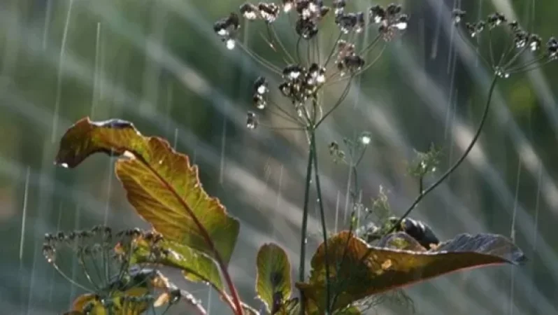 Ինչ եղանակ է սպասվում վաղը և առաջիկա օրերին