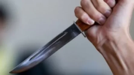 7 տարեկան երեխան դանակով հարվածել է 5 տարեկան քրոջը