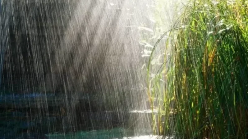 Weather Forecast: Rain, Thunderstorms, Hail, and Temperature Increase by 3-4 Degrees
