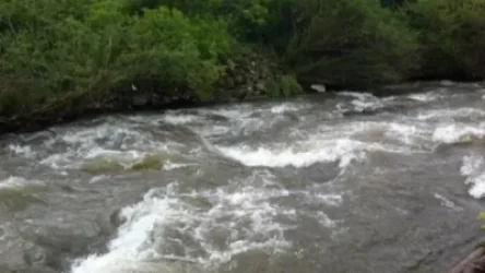 Հայաստանում փրկարարները ԱՄՆ քաղաքացուն դուրս են բերել գետից