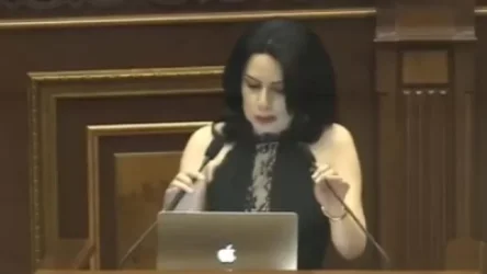 Մածունով պատարագ եք սարքել. Պատգամավորի տեսքը միանշանակ չի ընդունվել համացանցում