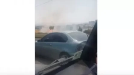 ՏԵՍԱՆՅՈՒԹ․ Քաղաքապետարանի աշխատակիցը ջրում է կանաչ տարածքը՝ չնայած անմիջապես հարևանությամբ բռնկված հրդեհի