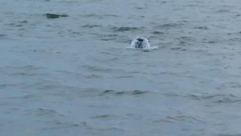 Լուսանկար. Իսկ դուք տեսե՞լ եք Սևանում աղբյուր լճի մեջ. Կարեն Հովհաննիսյան