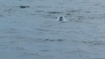 Լուսանկար. Իսկ դուք տեսե՞լ եք Սևանում աղբյուր լճի մեջ. Կարեն Հովհաննիսյան