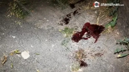 Դավիթաշենում աղմկահարույց վիճաբանություն-դանակահարության հետևանքով բոլոր 8 տուժածների ինքնությունը պարզվել է