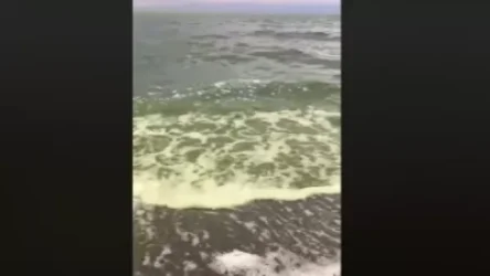 ՏԵՍԱՆՅՈՒԹ. Միայն կանաչած Սևանը կարող եք տեսնել, իսկ գլխացավ առաջացնող հոտը չեք կարող զգալ...