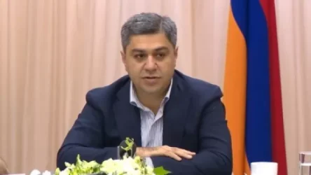 Վանեցյանի մայրն ունի 3 անշարժ գույք, 30 մլն դրամ եւ 15 հազար դոլար, իսկ հայրը՝ 960 մլն դրամ. Armtimes.com