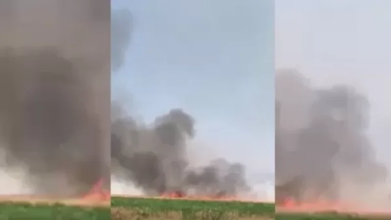 Video: Fire Breaks Out in Unharvested Wheat Field in Masis