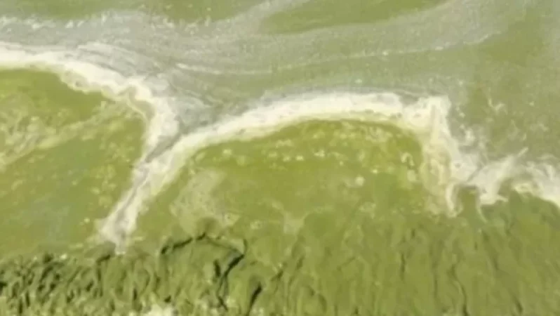 Առողջապահության նախարարությունը հորդորում է չլողալ Սևանա լճի որոշ տարածքներում