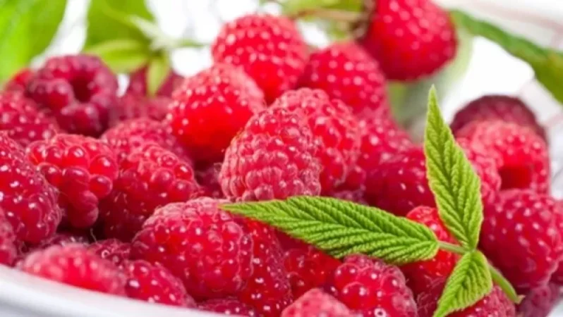 Ազնվամորու փառատոն՝ Շաքիի ջրվեժի տարածքում