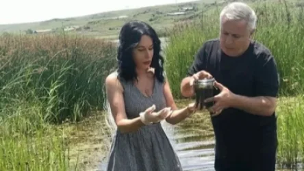 ԲՀԿ պատգամավորները Սևանի ջրիմուռների փորձանմուշն ուղարկելու են Վրաստան