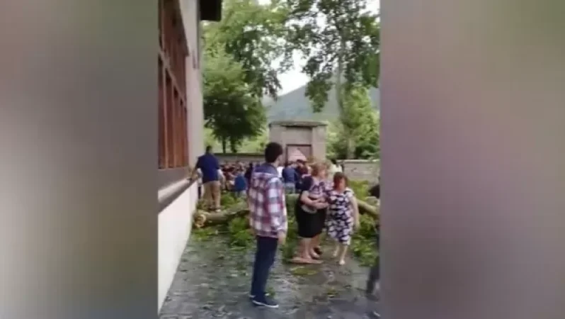 Ադրբեջանում 500 տարեկան ծառի ճյուղն ընկել է զբոսաշրջիկների վրա․ տուժածներ կան