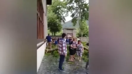 Ադրբեջանում 500 տարեկան ծառի ճյուղն ընկել է զբոսաշրջիկների վրա․ տուժածներ կան