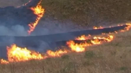 Փրկարարները մարել են մոտ 15.2 հա խոտածածկ տարածքներում բռնկված հրդեհները