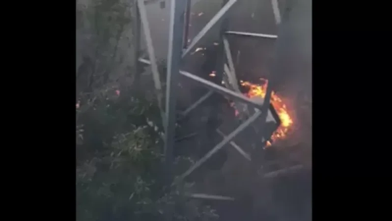 Թարմացված տվյալներ «Հաղթանակ» զբոսայգու տարածքում բռնկված հրդեհից