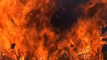 Արմավիրի մարզում այրվում են ցորենի արտեր