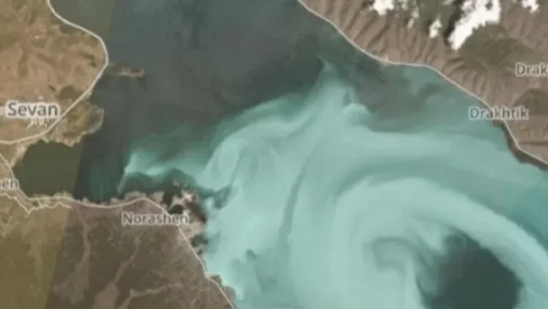 Սևանն արագ ինքնամաքրվում է.  Այսեր Ղազարյան