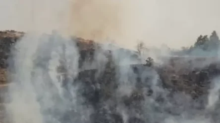 ՏԵՍԱՆՅՈՒԹ. Հրդեհ՝ Հրազդանի կիրճում