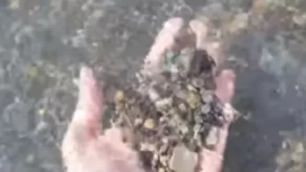 Վարչապետի օգնականը Սևանից տեսանյութ է հրապարակել