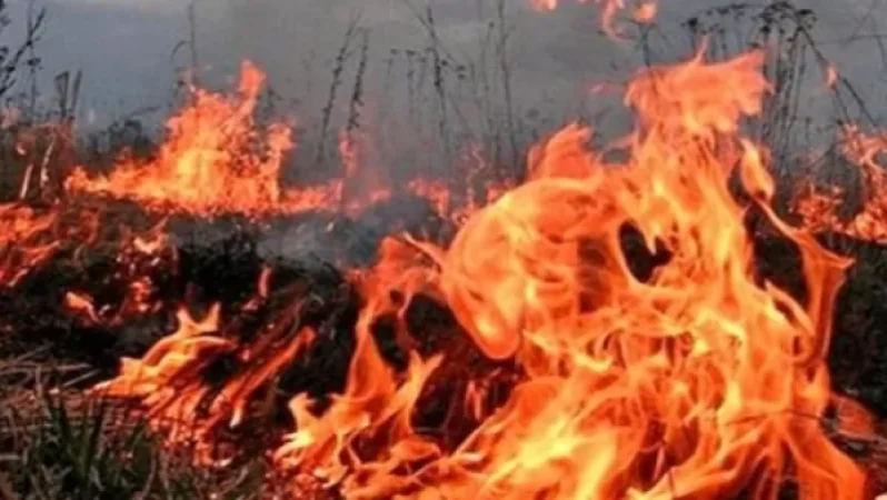 Cars and 50 sq.m of Grass Cover Burned in Ararat Village
