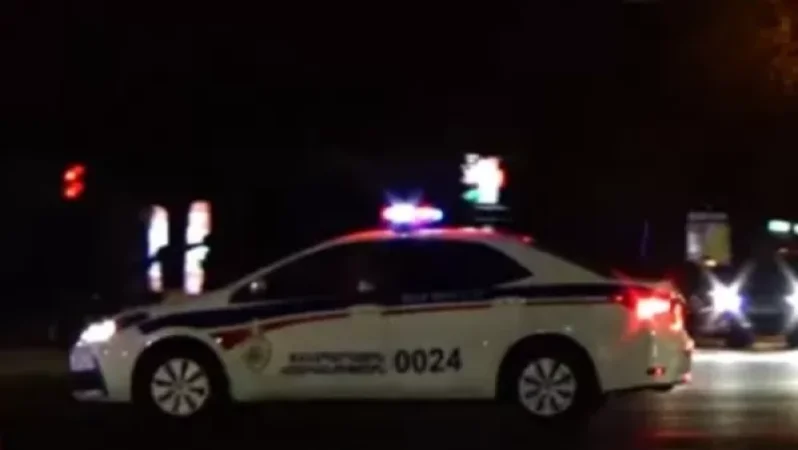 VIDEO: 164 Vehicles Transferred to a Special Protected Area
