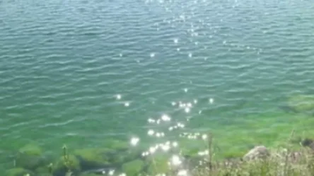 Ինչպես սկսեց Սևանն ինքնամաքրվել, ո՞ւր անհետացան ջրիմուռները․ Armtimes.com