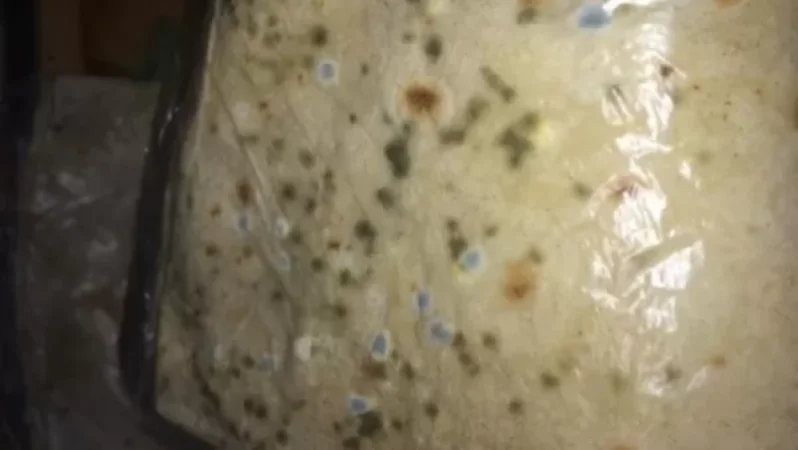 Սահմանում ծառայողներին բորբոսնած լավաշ է մատակարարվել