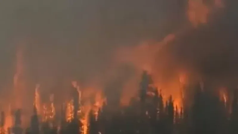 Video: 3 Million Hectares of Forest Burning in Siberia