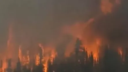 ՏԵՍԱՆՅՈՒԹ․ Սիբիրում 3 մլն հեկտար անտառ է այրվում