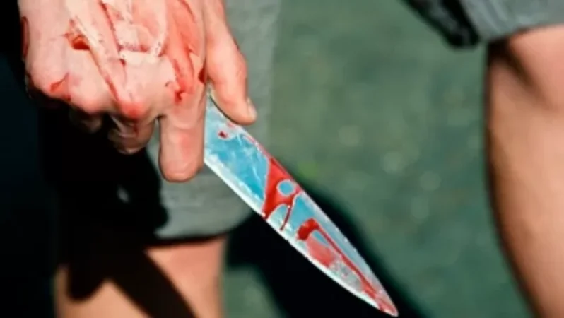 Դատարանը 2 անչափահասների դանակահարած ՊՆ-ի բարձրաստիճան սպայի որդուն ազատ է արձակել