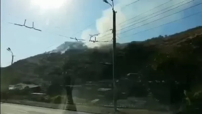 Fire in Victory Park Area: Three Firefighting Units Deployed