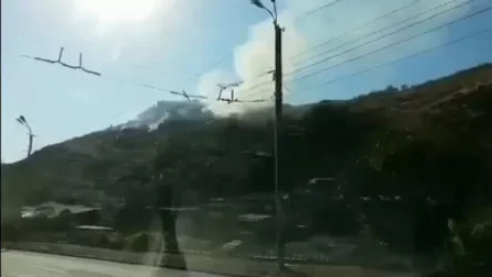 Հրդեհ. 3 մարտական հաշվարկ Հաղթանակի զբոսայգի հատվածում