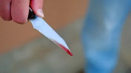 Գեղարքունիքում տղամարդուն դանակահարել է կրտսեր եղբայրը