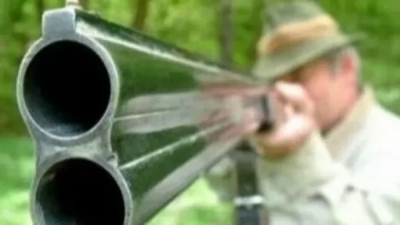 Լոռիում տղամարդը կրակել է կատաղած շանը, բայց վնասել 9-ամյա երեխայի