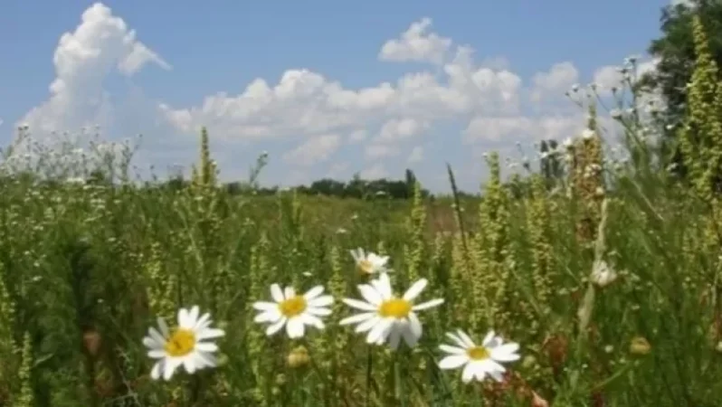 Ինչ եղանակ է սպասվում Հայաստանում հանգստյան օրերին