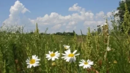 Ինչ եղանակ է սպասվում Հայաստանում հանգստյան օրերին