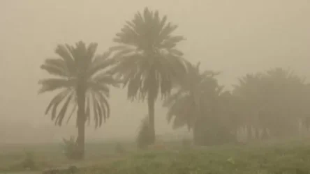 Իրանում ավազե մրրիկի պատճառով հարյուրավոր մարդիկ դիմել են բուժօգնության