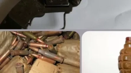 Թոշակառուն կամավոր զենք-զինամթերք է հանձնել