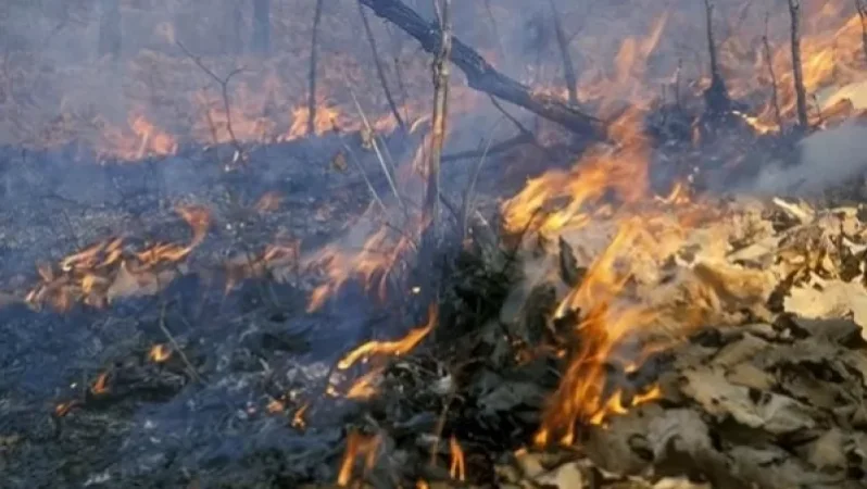 Խոտածածկ տարածքներում բռնկվել է 57 հրդեհ