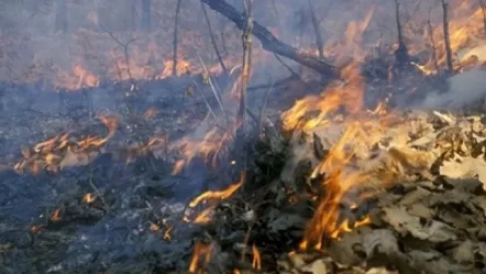 Խոտածածկ տարածքներում բռնկվել է 57 հրդեհ