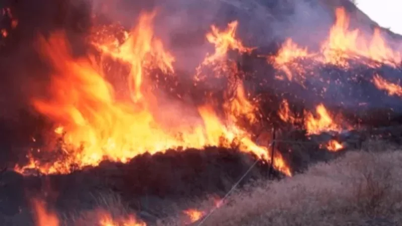 Հրշեջների 8 մարտական հաշվարկ Երևանի Գևորգ Հովսեփյանի փողոցում․ այրվում է խոտածածկ տարածք