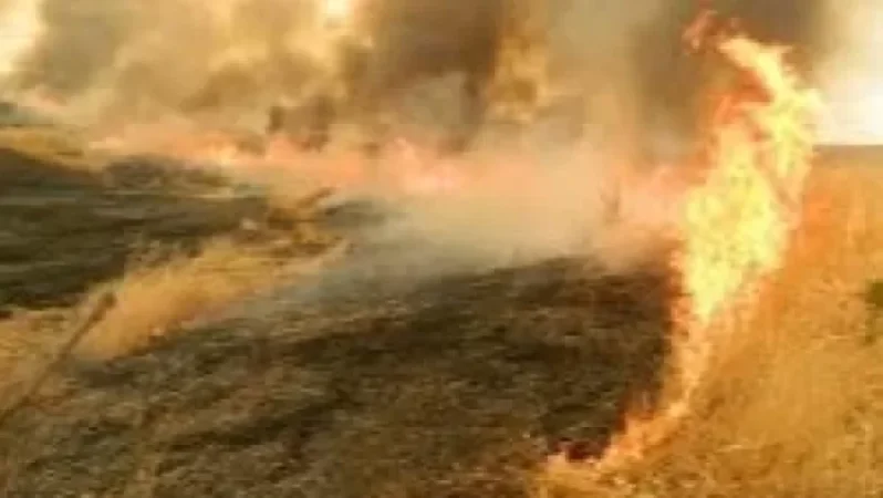 Հրդեհ է բռնկվել «Արևիկ» ազգային պարկում