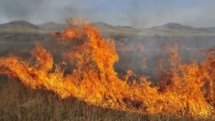 47 հրդեհ է բռնկվել խոտածածկ տարածքներում